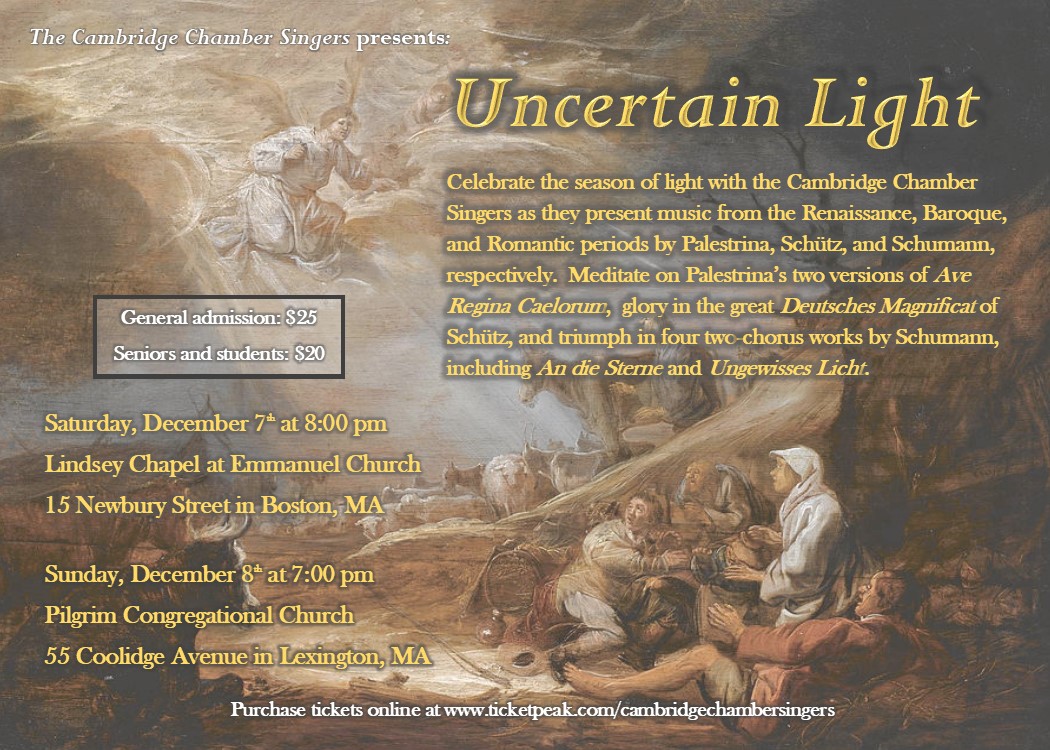 Uncertain Light Flyer-Postcard